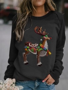 Long sleeve raglan crew neck women's sweatshirt
