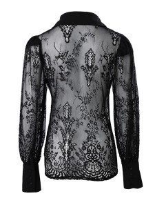 Women's long sleeved lace top