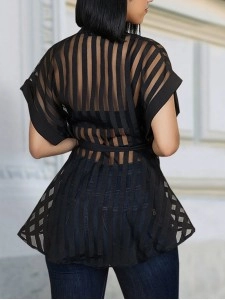 Women's transparent striped top