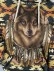 Women's Vintage Wolf and Bull Head Print Hoodie